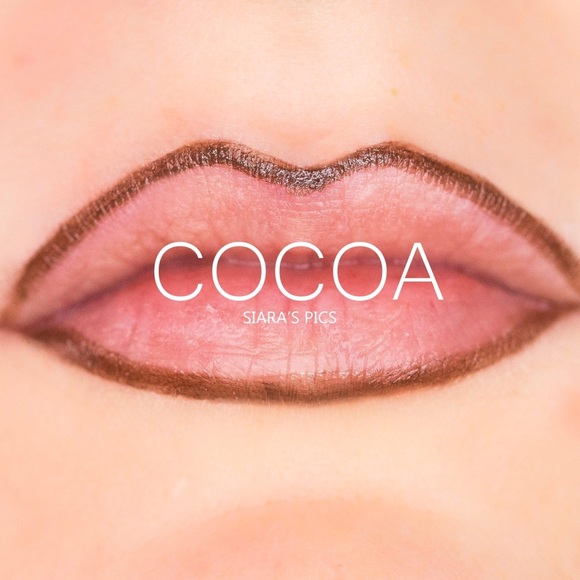 LipSense Other - Dark Brown Long Lasting Liquid Lip Art Lip Liner